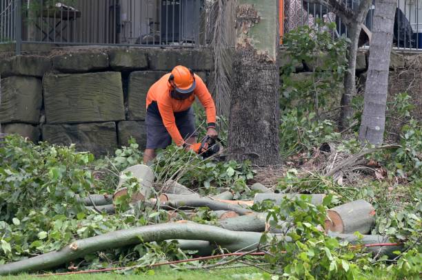  Moundville, AL Tree Service Pros